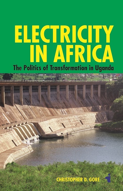 Book cover image for Electricity in Africa ISBN: 9781847011688